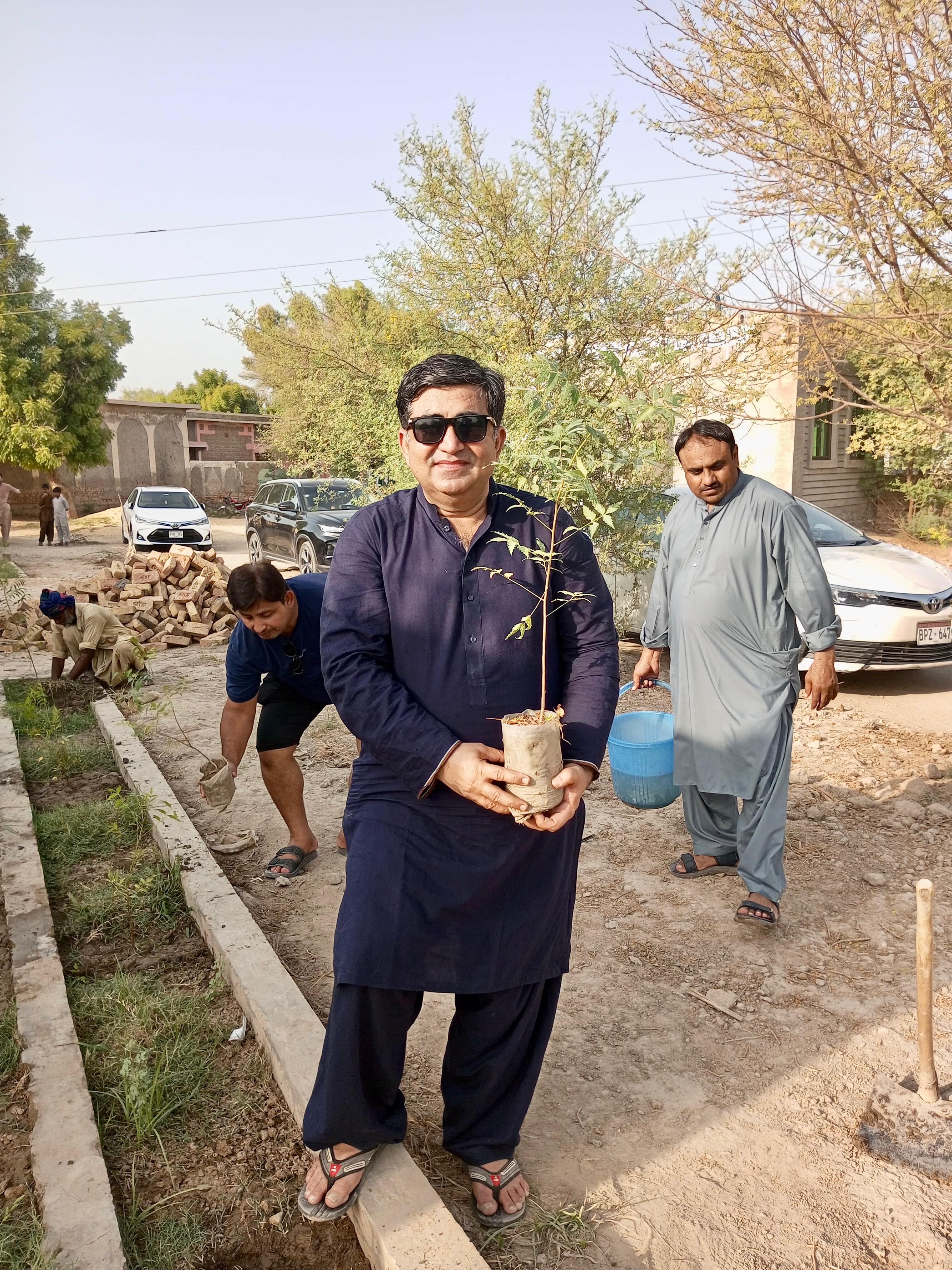 Green Sindh tree plantation 1