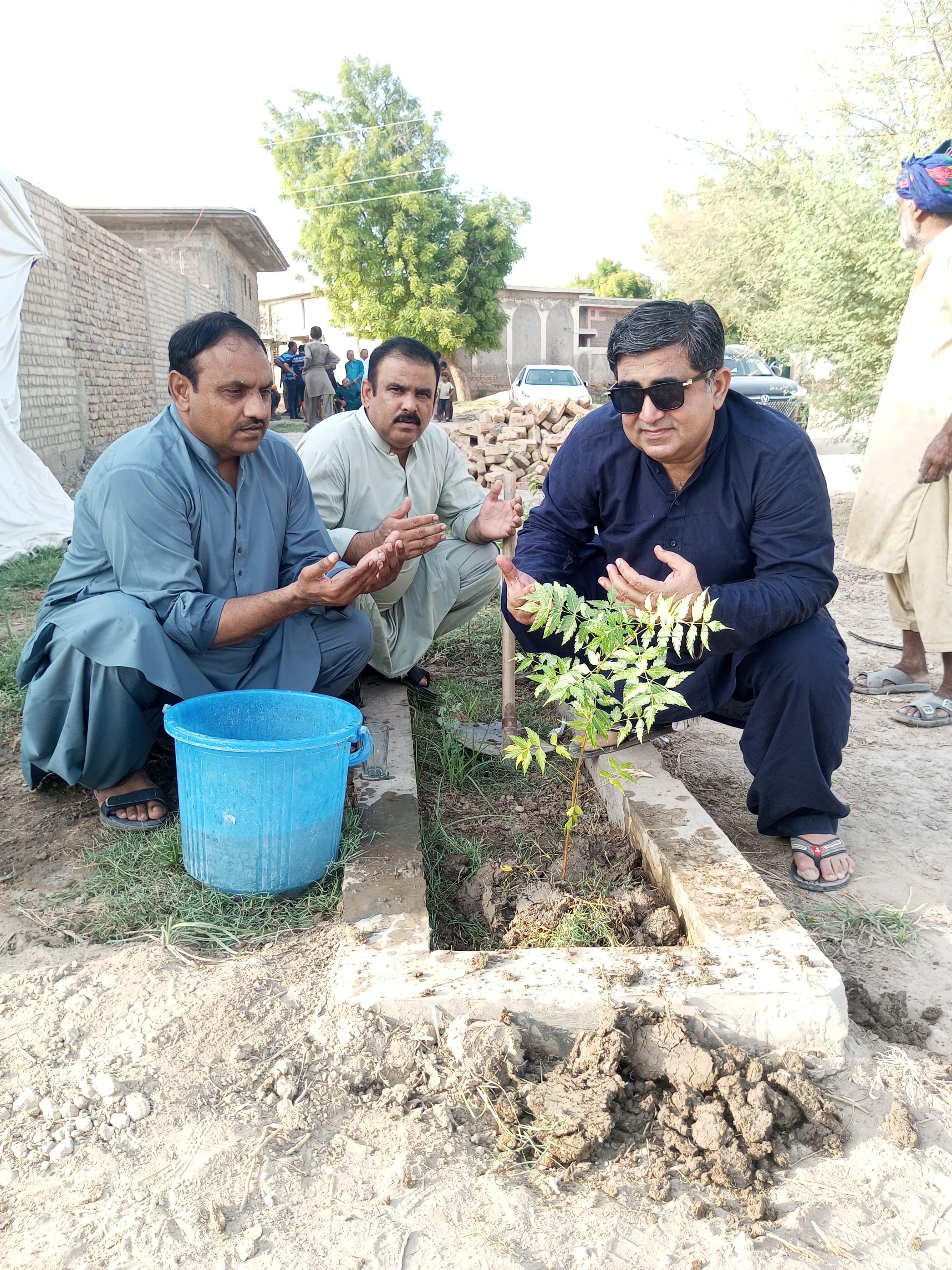 Green Sindh tree plantation 2
