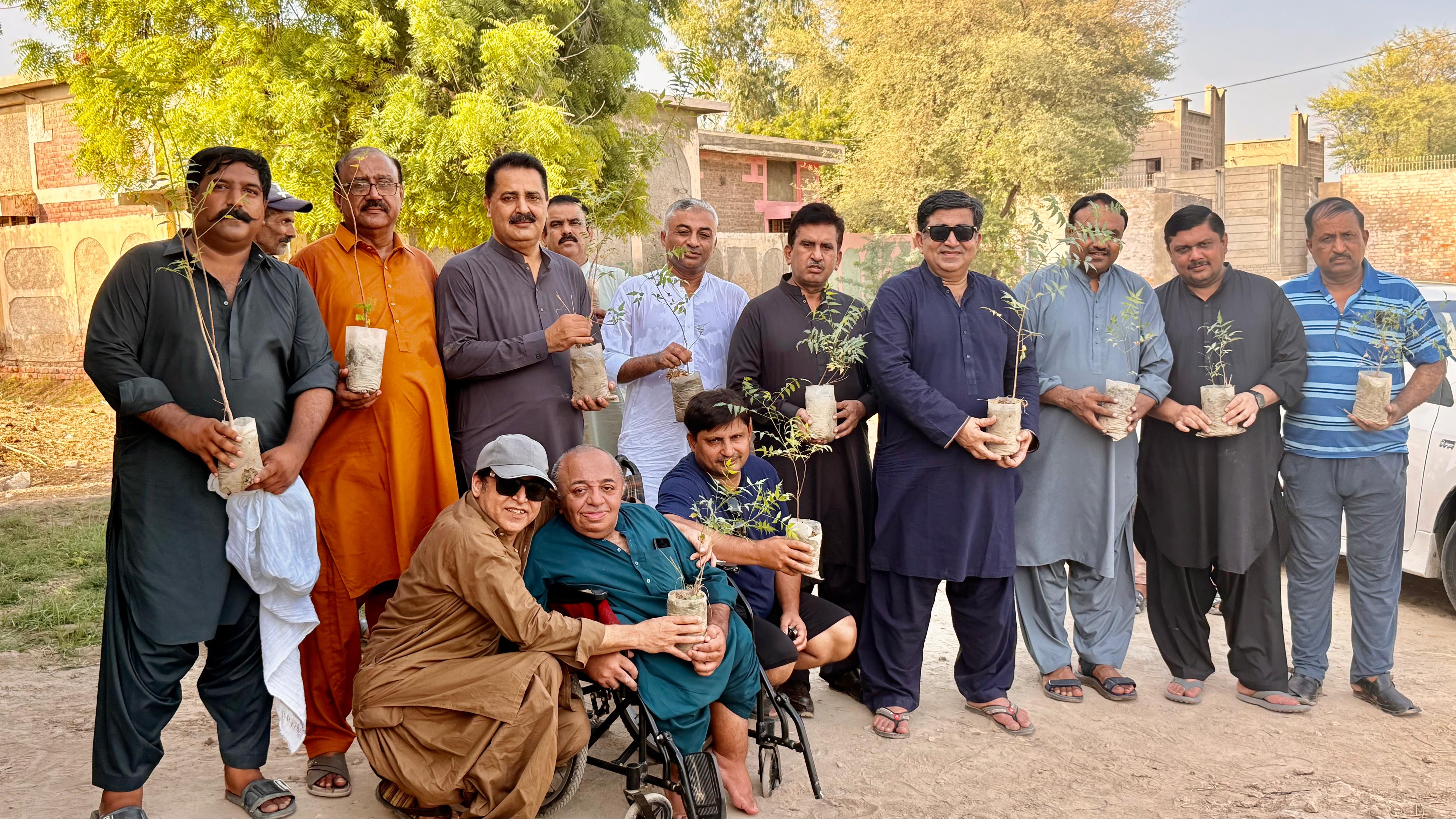 Green Sindh tree plantation 3