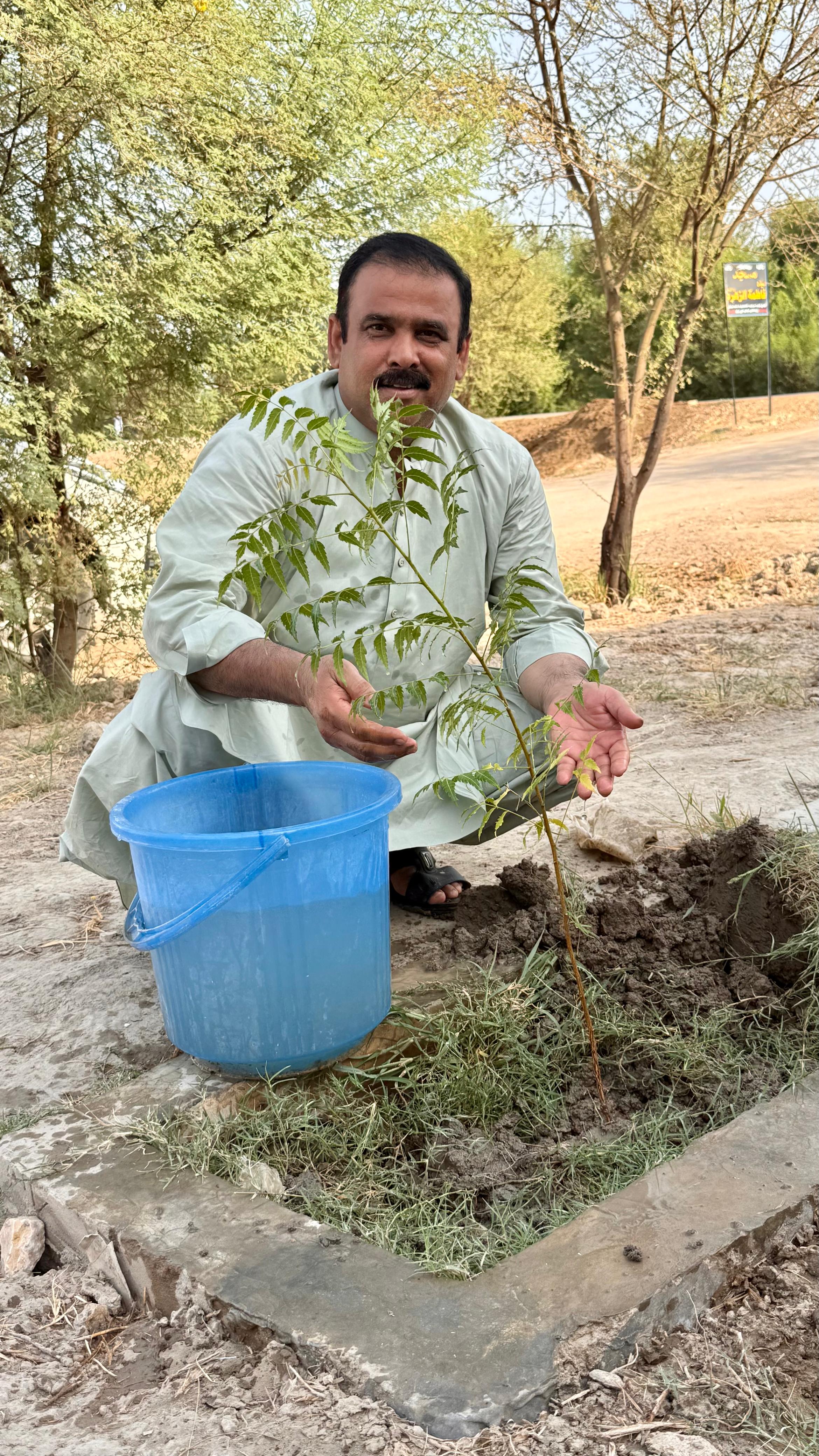 Green Sindh tree plantation photo 5
