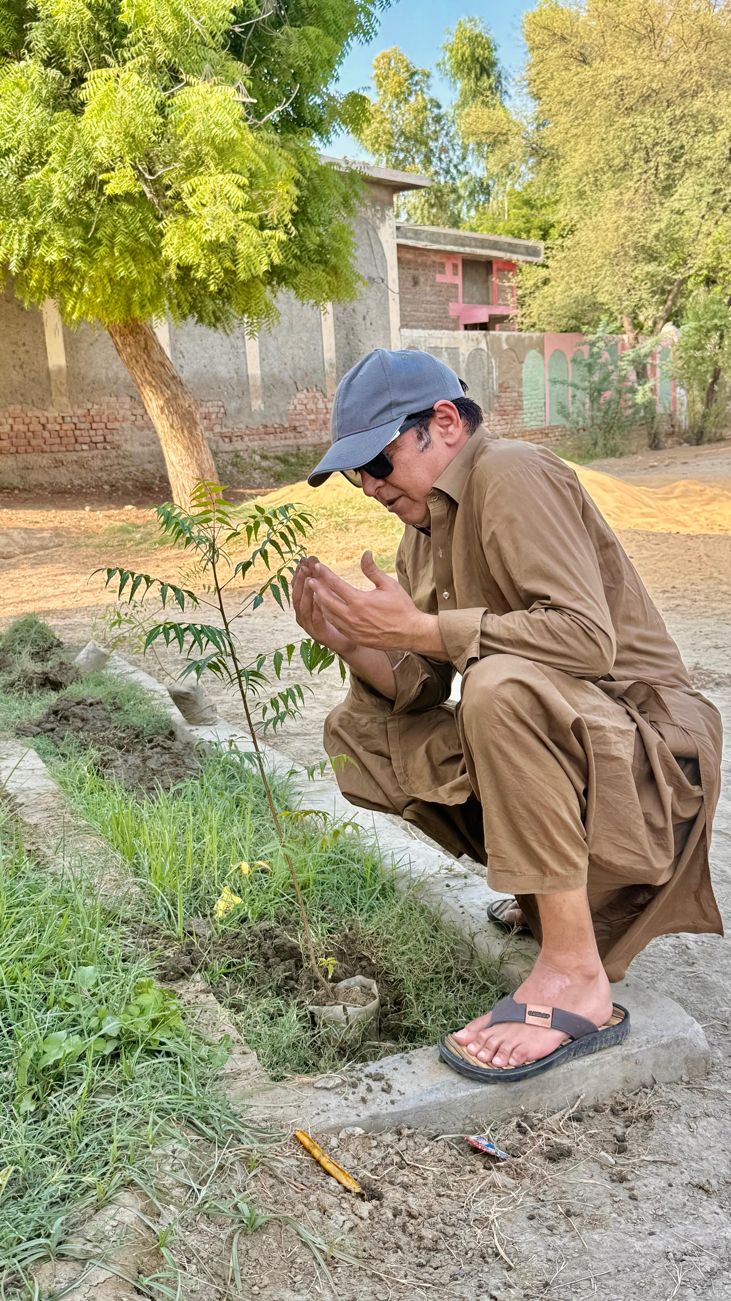 Green Sindh tree plantation photo 9
